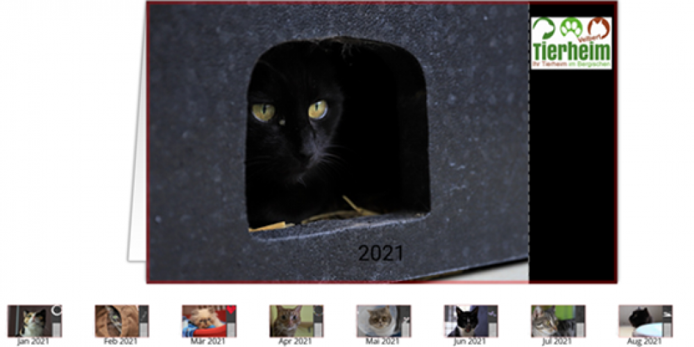 Kalender 2021 - Bild 5