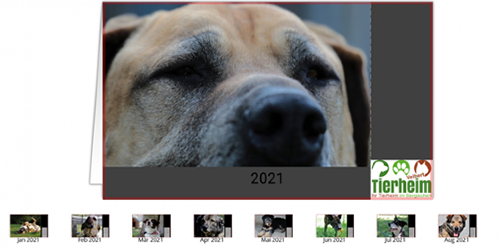 Kalender 2021 - Bild 4