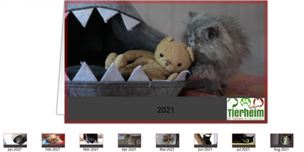 Kalender 2021 - Bild 3