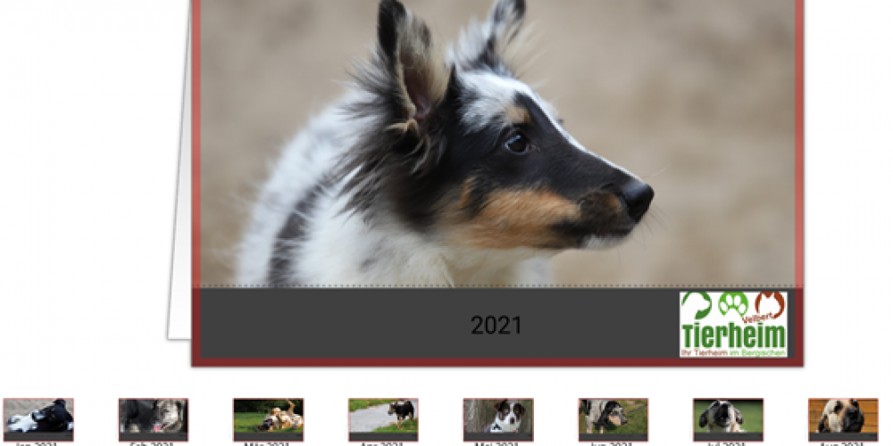 Kalender 2021 - Bild 2