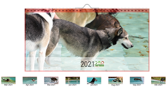 Kalender 2021 - Bild 1