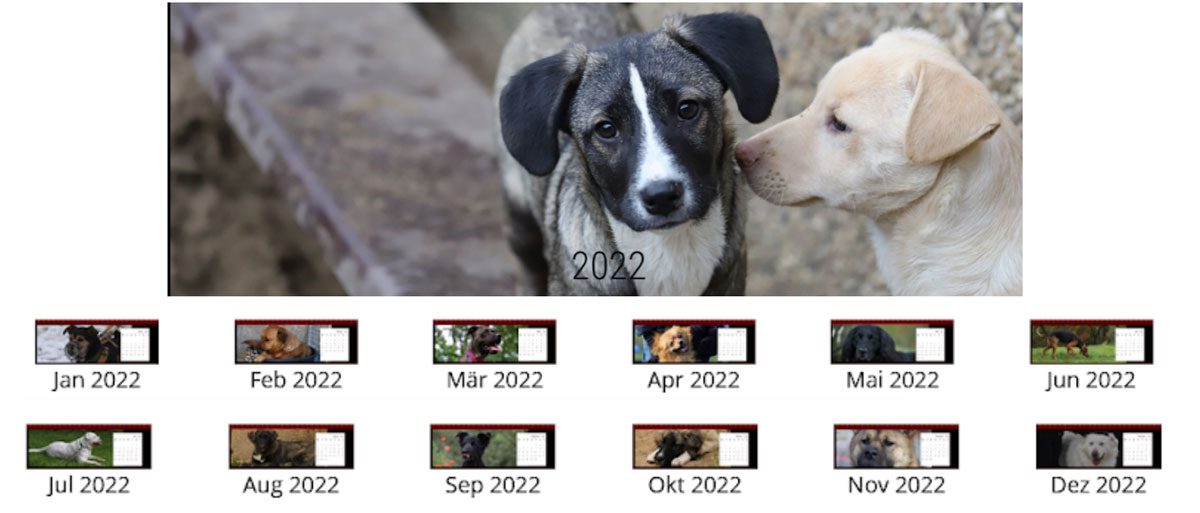 Kalender Hunde