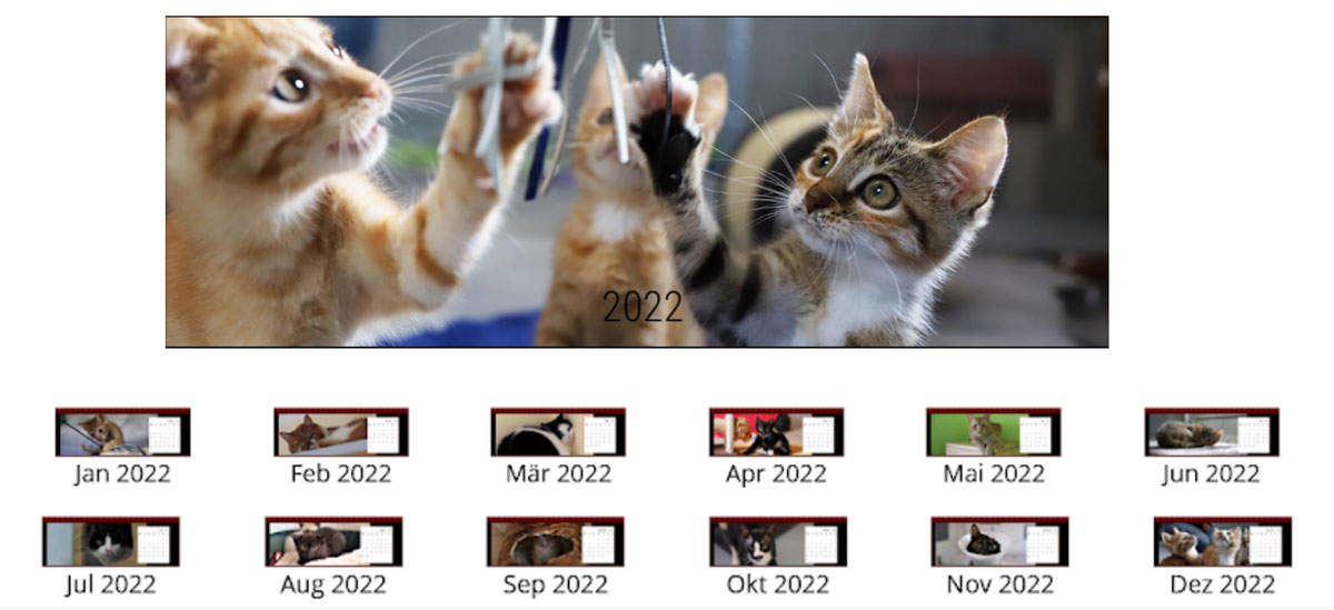 Kalender Katzen