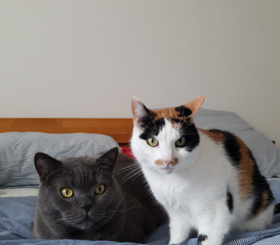 Missy & Kalle