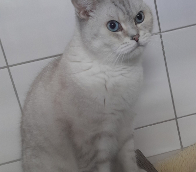 Pascha – vermittelt im November 2025