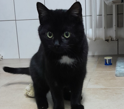 Ronja (Räubertochter)