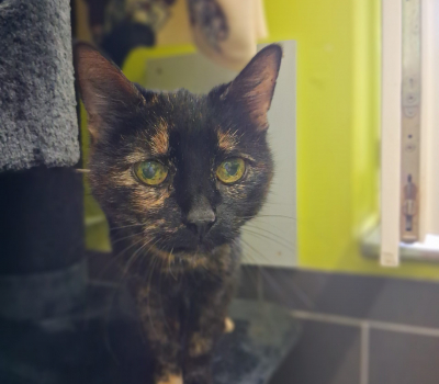 Ottilie
