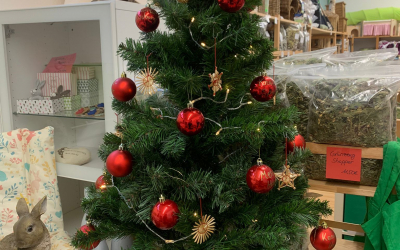 Wunscherfüller-Bäume 2025