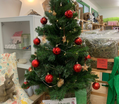 Wunscherfüller-Bäume 2025