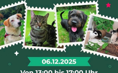 ADVENTSMARKT  SAVE THE DATE 🌲