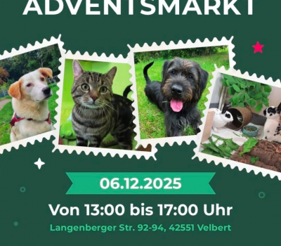 ADVENTSMARKT  SAVE THE DATE 🌲