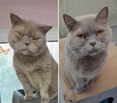 Eddy & Murphy-haben Interessenten