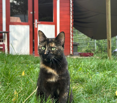 Frida zsm mit Ida – vermittelt im Januar 2026