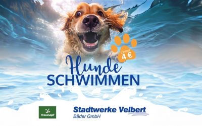 Hundeschwimmen am 21. September