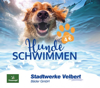Hundeschwimmen am 21. September